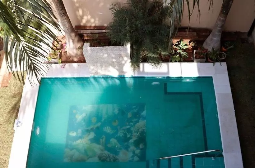 ペンション Casa Boutique Bèla Sofía