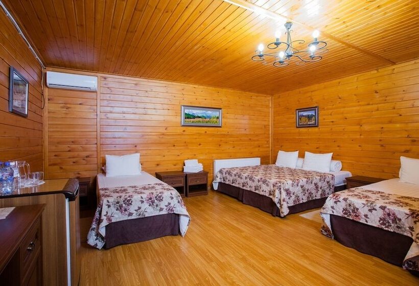 פנסיון Guest House Kurshewel