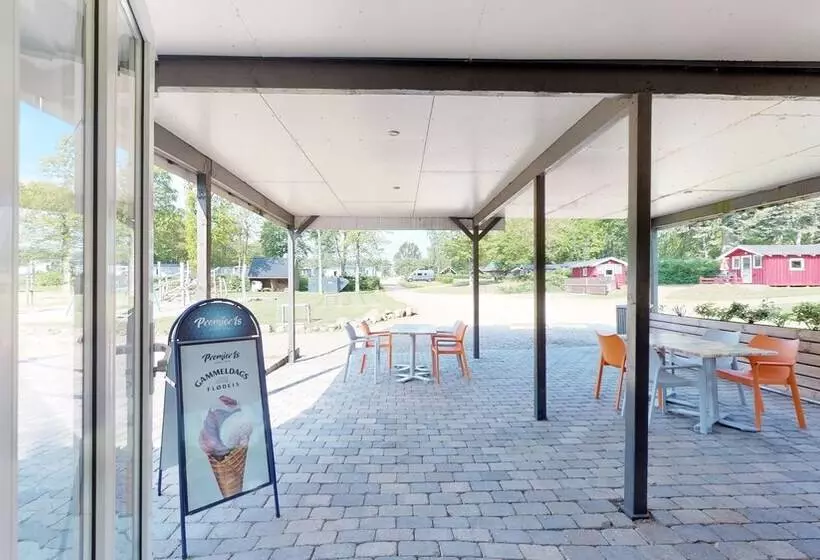 リゾートホテル Jelling Family Camping & Cottages