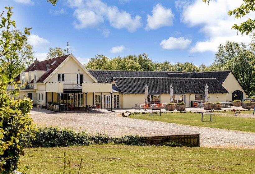 Курорт Jelling Family Camping & Cottages