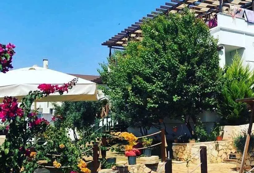 Villa Zeus Otel