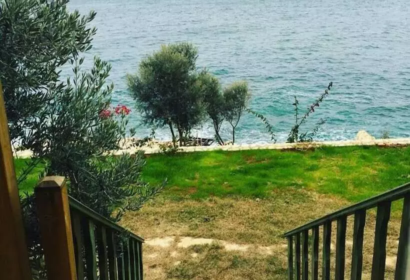 Villa Zeus Otel