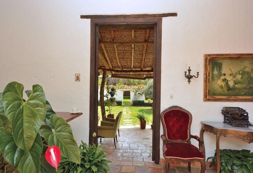 Bed & Breakfast Casa Palosanto   Adults Only