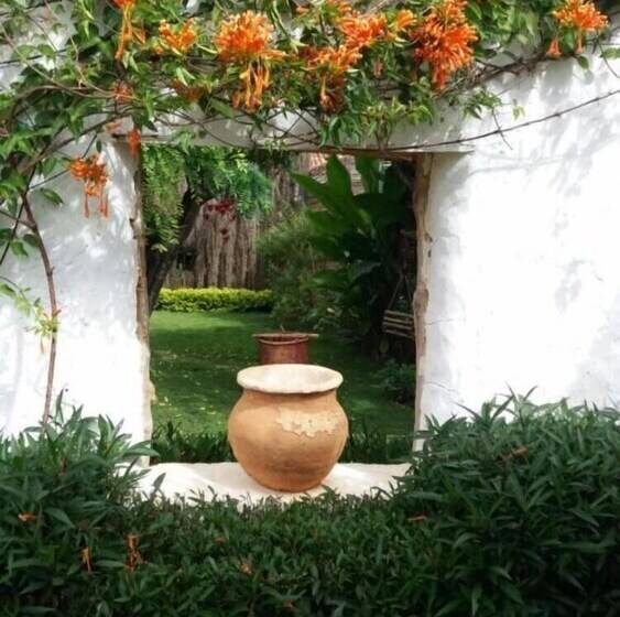 Bed & Breakfast Casa Palosanto   Adults Only