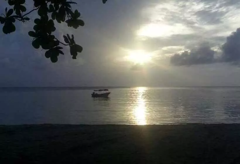 ベッドアンドブレックファースト Casa Turistica Miss G