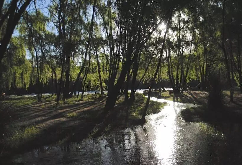 Cabañas Rocas Amarillas