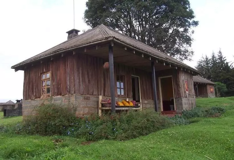 هتل Castle Forest Lodge