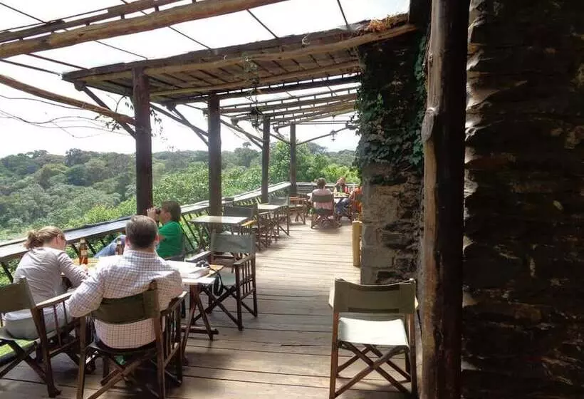 هتل Castle Forest Lodge