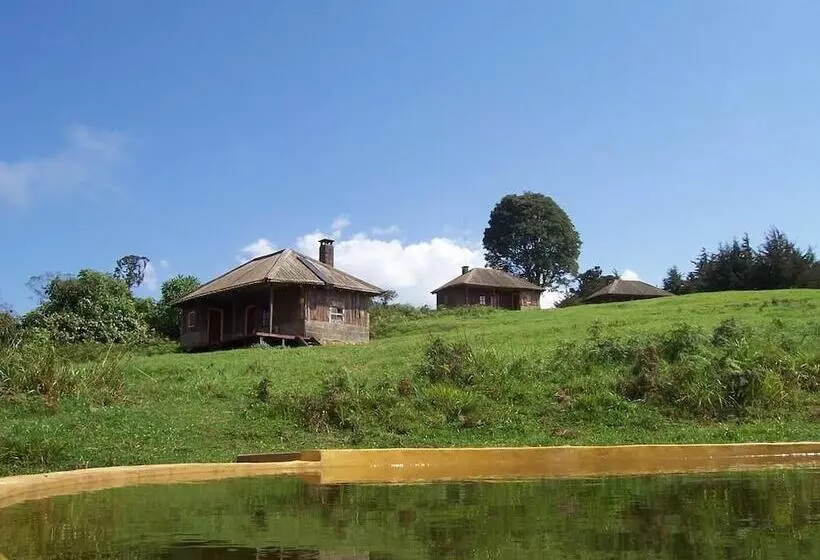 هتل Castle Forest Lodge