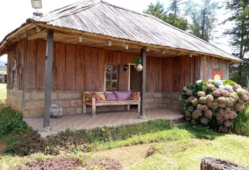 هتل Castle Forest Lodge