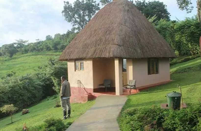 هتل Chimpanzee Forest Guest House