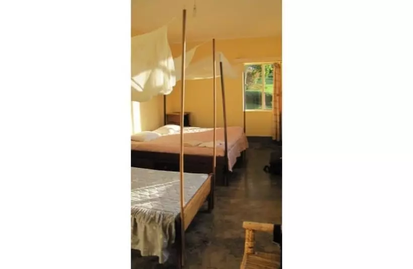 هتل Chimpanzee Forest Guest House
