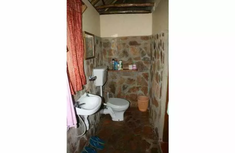 هتل Chimpanzee Forest Guest House