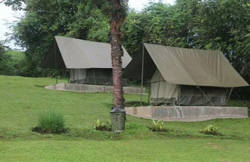 هتل Chimpanzee Forest Guest House