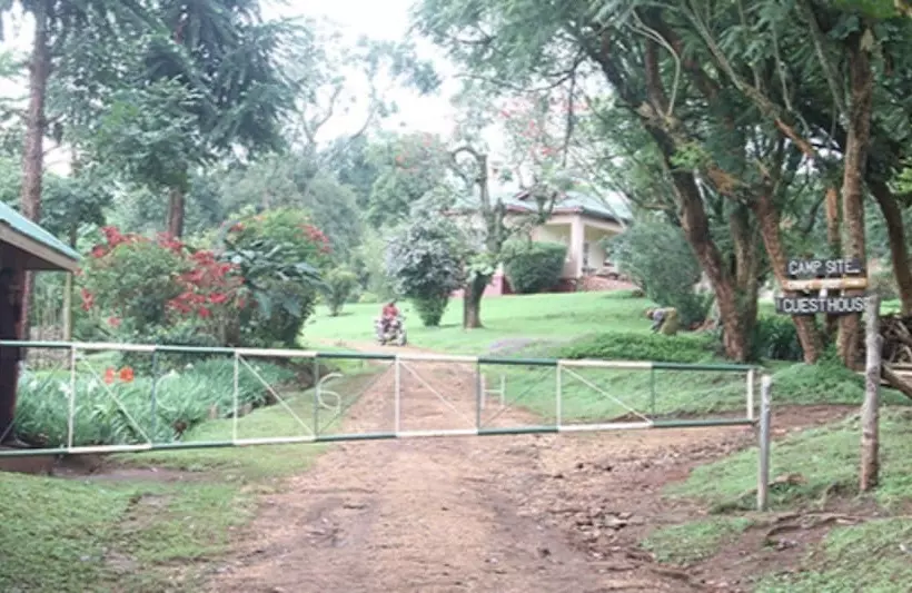 هتل Chimpanzee Forest Guest House