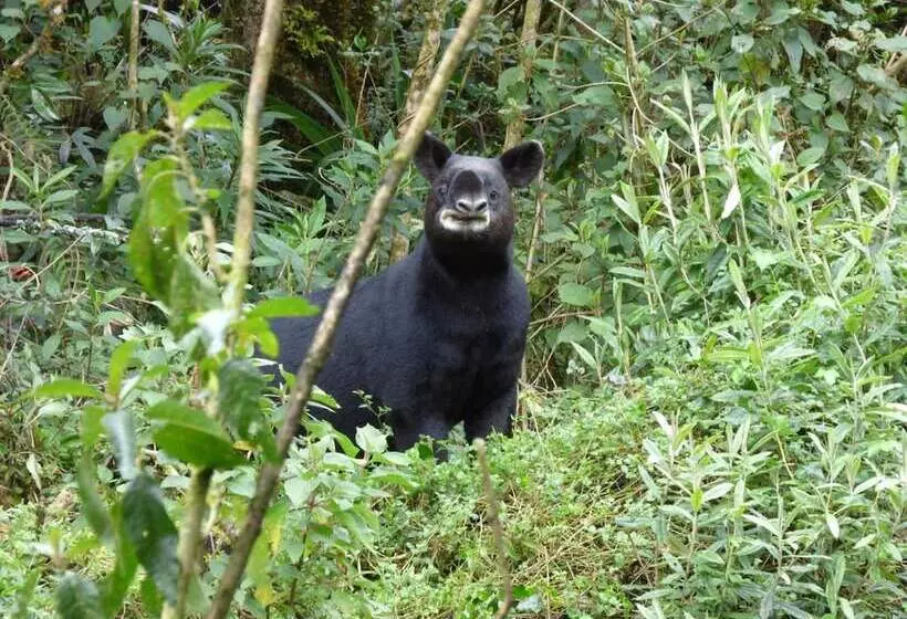 Hotelli Sol De Piedra Papallacta