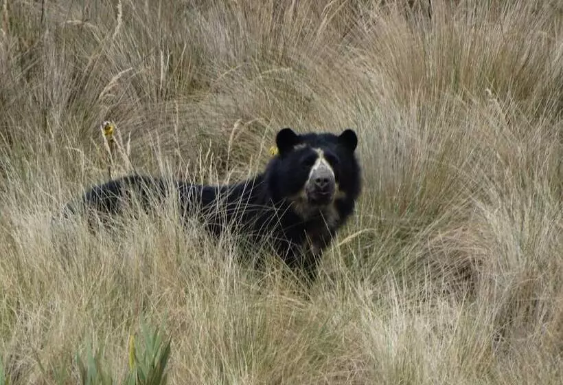 Hotelli Sol De Piedra Papallacta