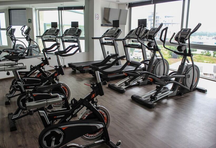 Lâviu B&b Luxe Suites