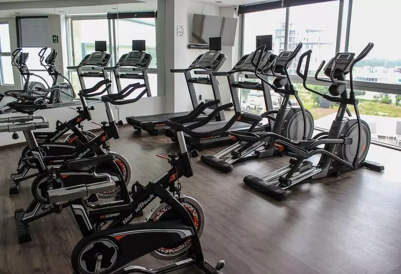 Lâviu B&b Luxe Suites