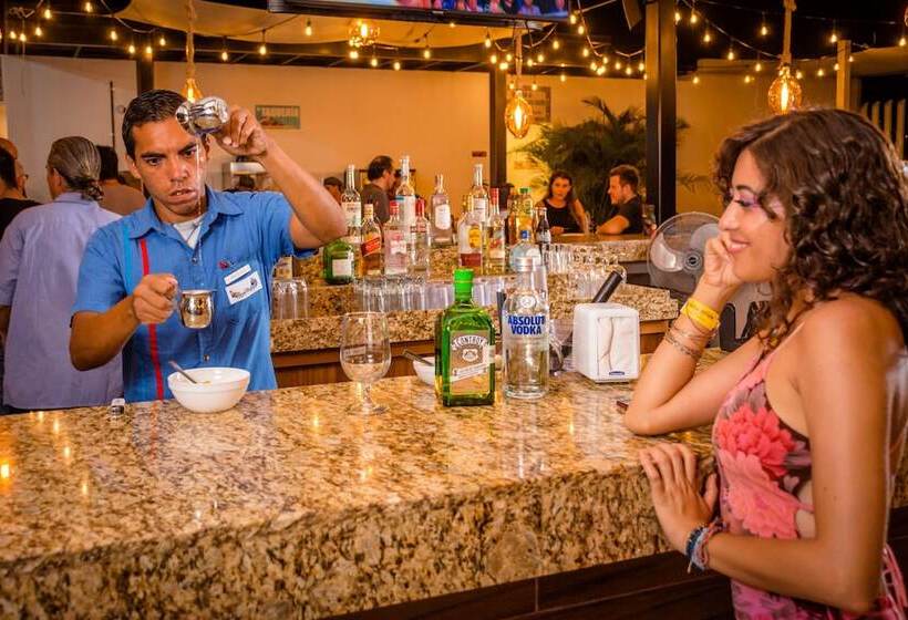 הוסטל Nomads Party