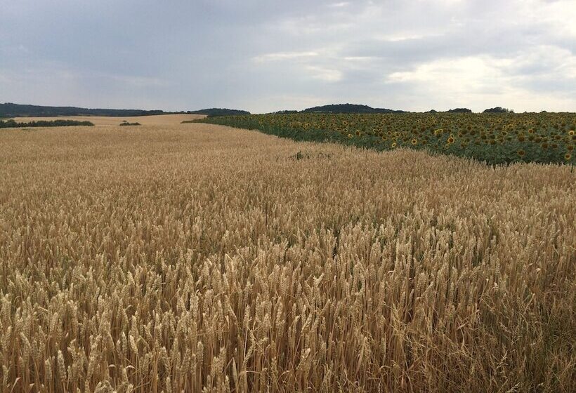 펜션 Les Templiers