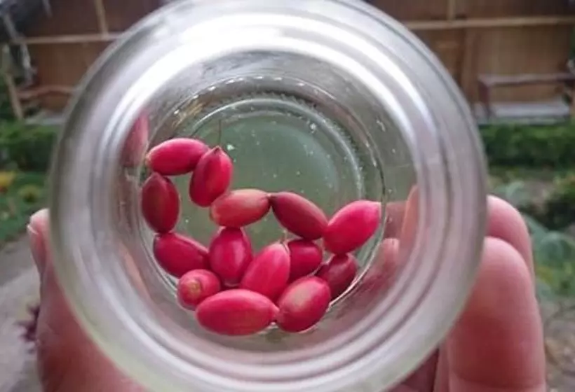 ユースホステル Hosteria Piedra De Vapor