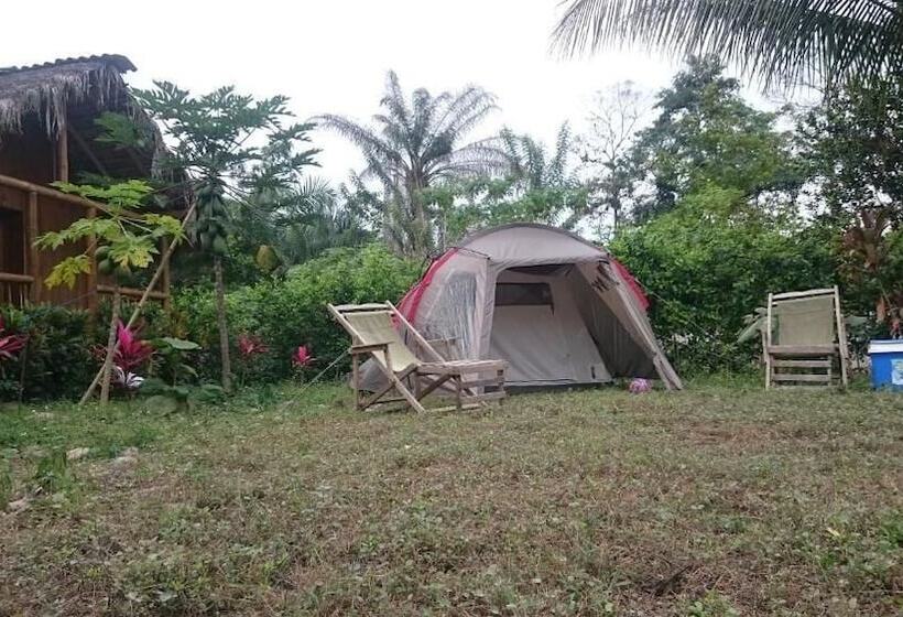 Hostel Hosteria Piedra De Vapor