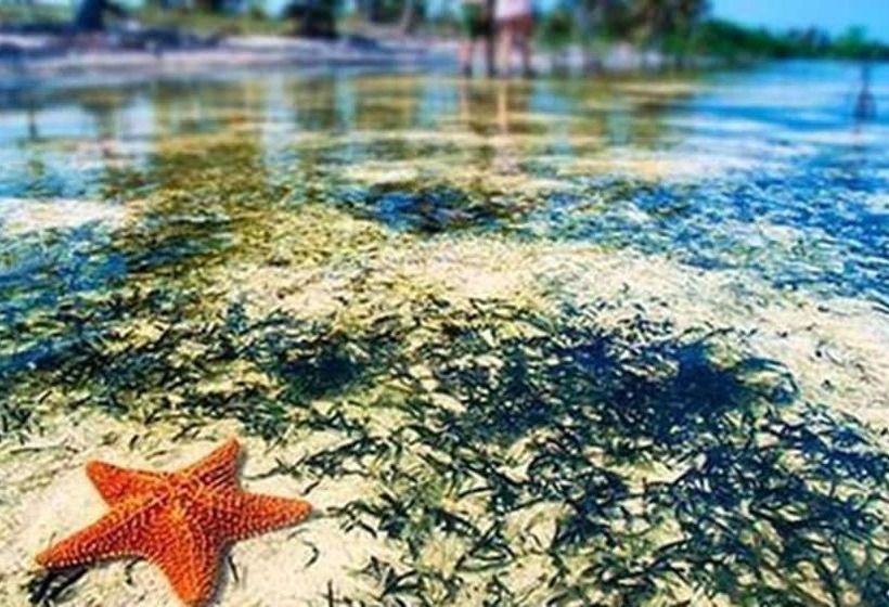 Cabañas Demar Achudup   Hostel