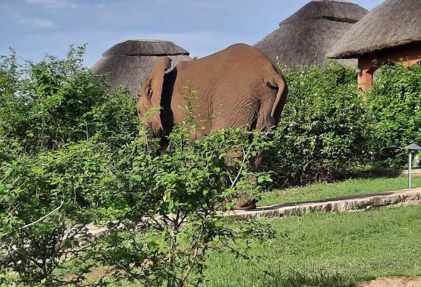 هتل Buffalo Safari Lodge