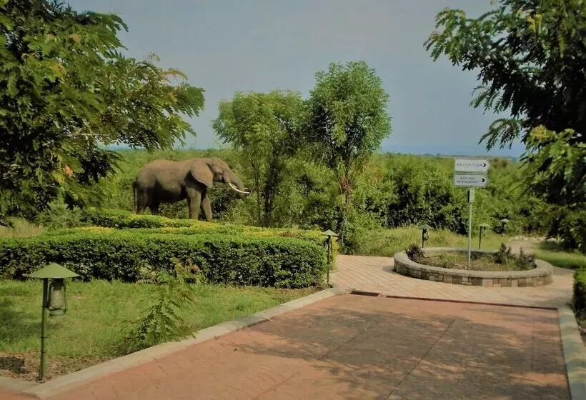 هتل Buffalo Safari Lodge
