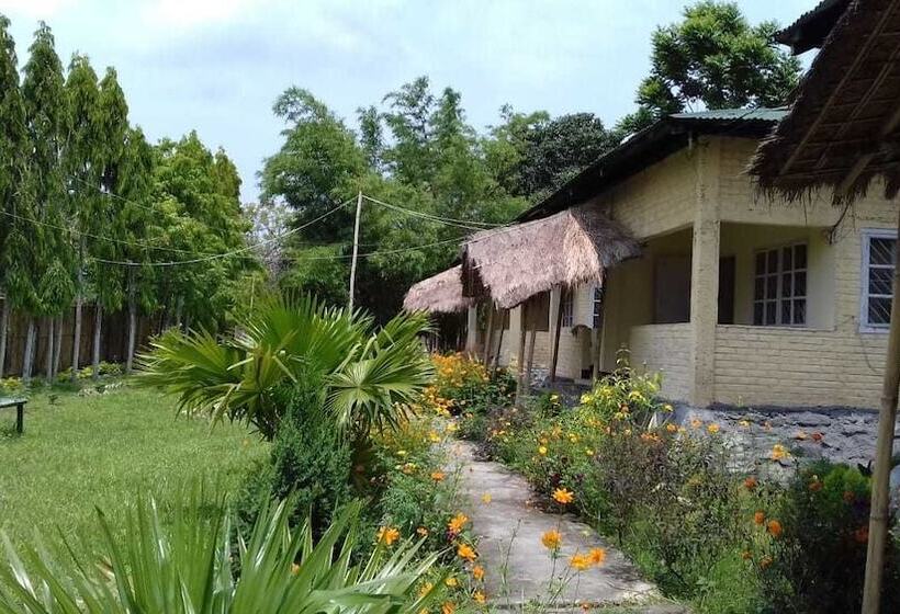 ホテル Camp Rhino Resort