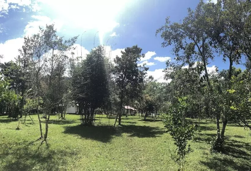 هتل Chi Ixim Eco
