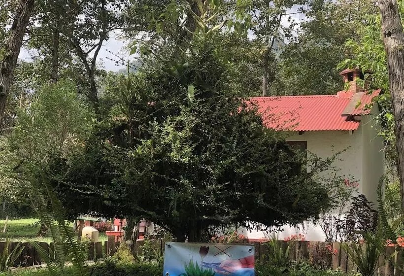 هتل Chi Ixim Eco