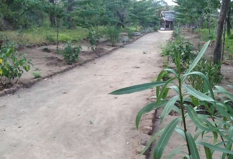 فندق Ngerengere River Eco Camp