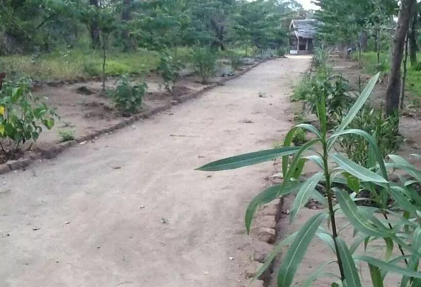 Hotelli Ngerengere River Eco Camp