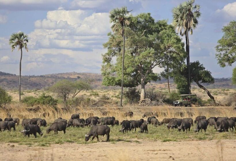 فندق Ruaha Dream Villa