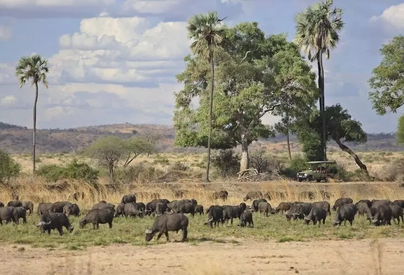 Hotelli Ruaha Dream Villa