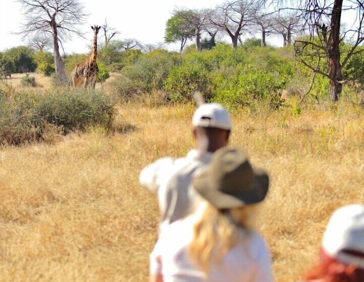 فندق Ruaha Dream Villa