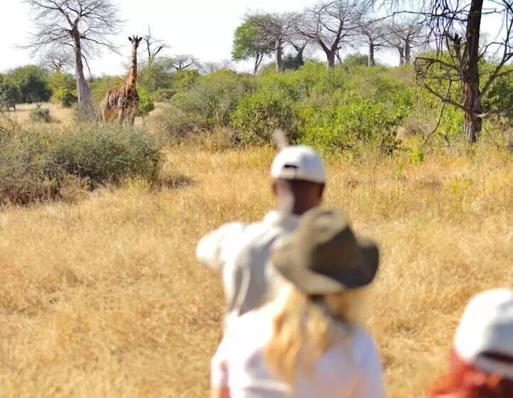 Hotelli Ruaha Dream Villa