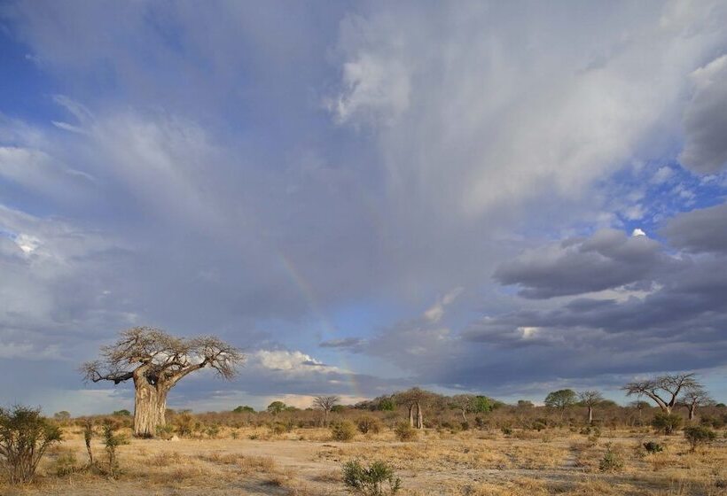 فندق Ruaha Dream Villa