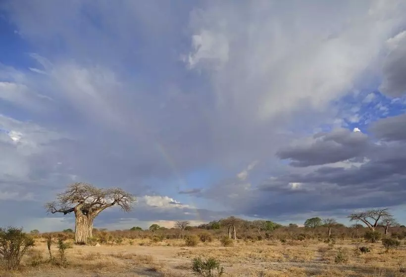 Hotelli Ruaha Dream Villa