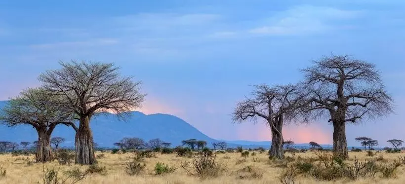 Hotelli Ruaha Dream Villa