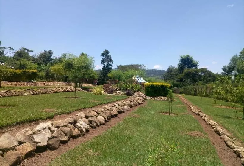 Kibar Mos Hotel And Lodges