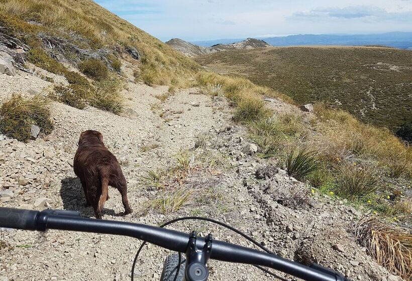 Lake Stella Mountain Huts