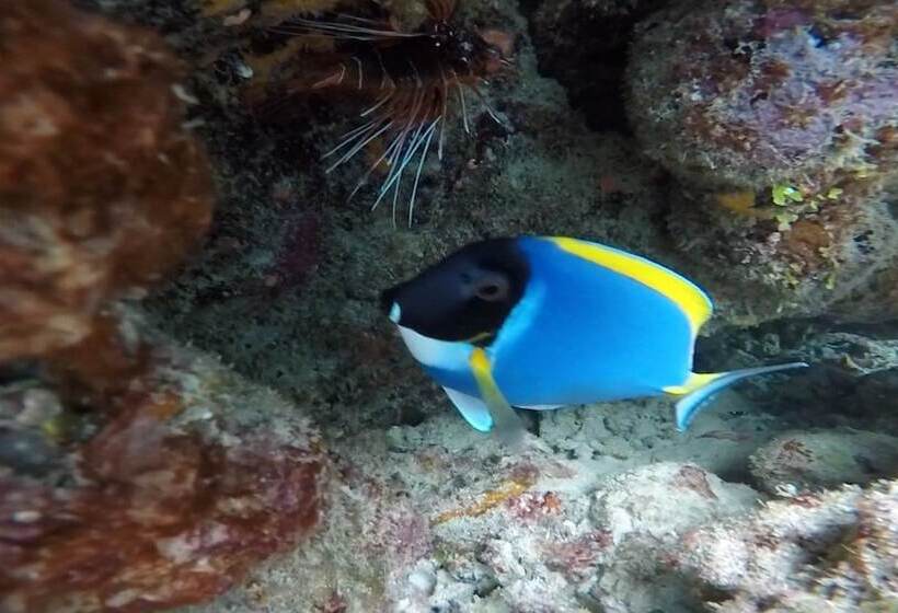 پانسیون Casa Enjoy Maldives