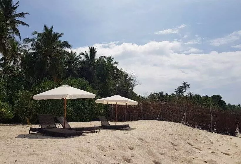 پانسیون Casa Enjoy Maldives