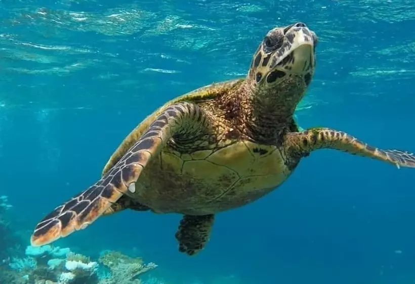 پانسیون Casa Enjoy Maldives