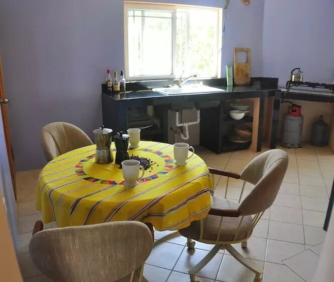 پانسیون Jah Freedom Inn Negril
