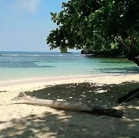 پانسیون The Blue Lagoon Hostel & Private Rooms