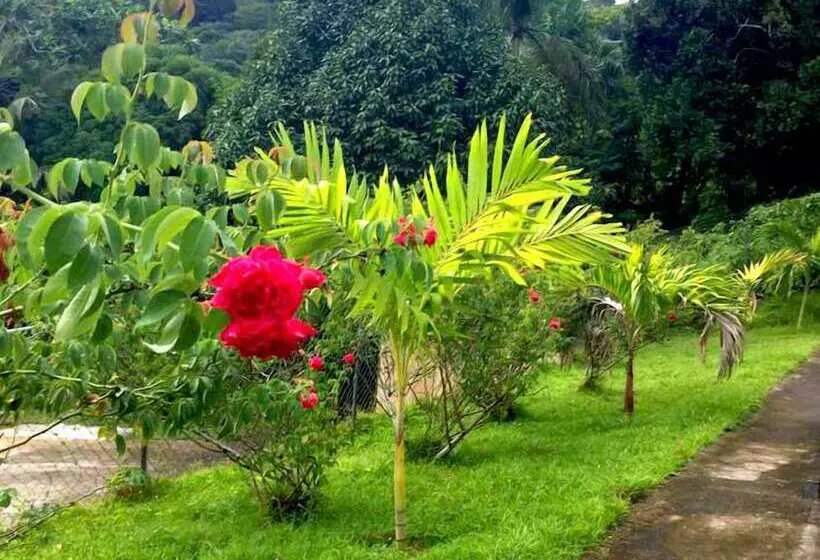 پانسیون The Blue Lagoon Hostel & Private Rooms